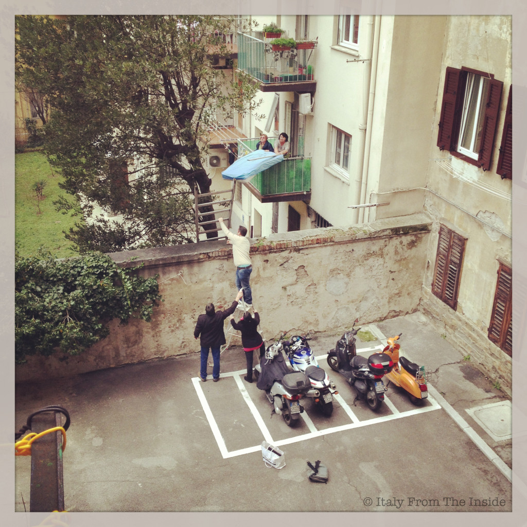 Rescued cat- Italy from the Inside