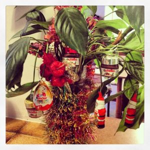 Christmas plant- Italy from the Inside