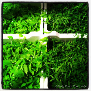 Radicchio vs rucola- Italy From the Inside